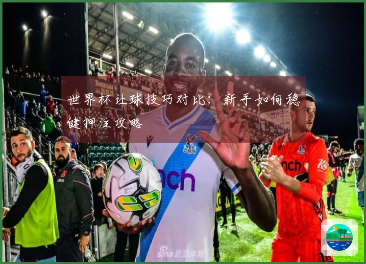 世界杯让球技巧对比：新手如何稳健押注攻略