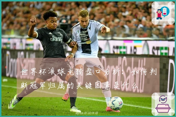 世界杯滚球竞猜盘口分析：如何判断冠军归属的关键因素是什么