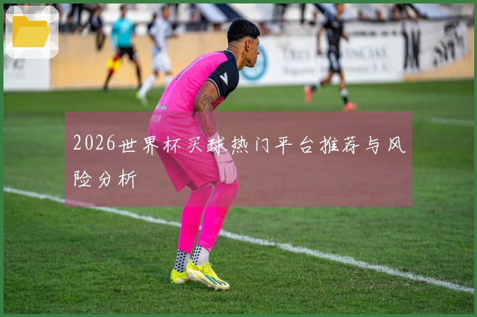 2026世界杯买球热门平台推荐与风险分析