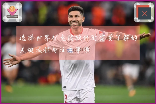 选择世界杯竞猜软件时需要了解的关键流程与注意事项