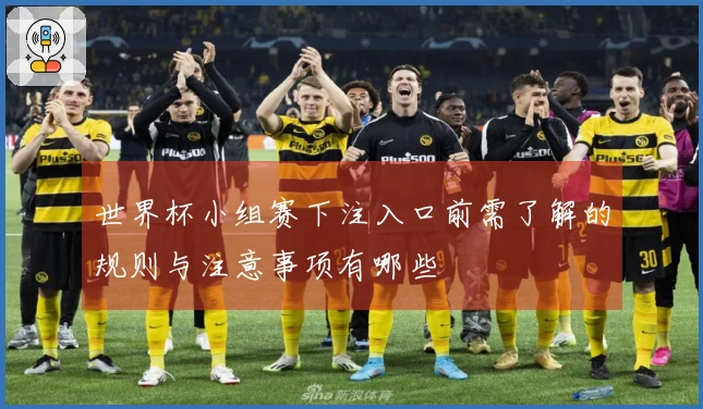 世界杯小组赛下注入口前需了解的规则与注意事项有哪些