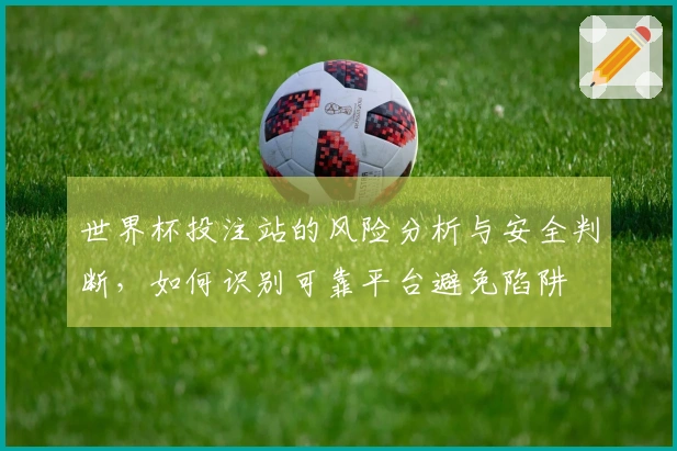 世界杯投注站的风险分析与安全判断，如何识别可靠平台避免陷阱