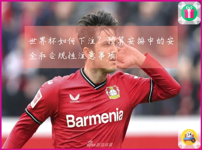 世界杯如何下注？预算安排中的安全和合规性注意事项
