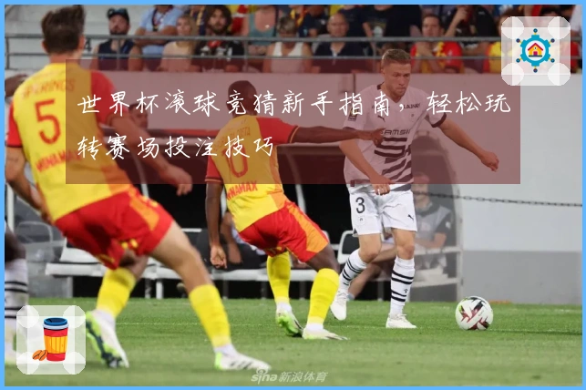 世界杯滚球竞猜新手指南，轻松玩转赛场投注技巧